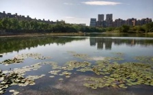  合肥市大蜀山森林公園南湖：綜合治理，再現美麗湖景